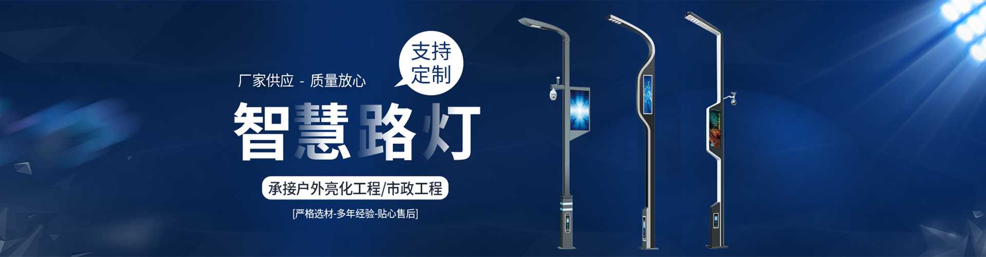 盐田区太阳能路灯定制厂家
